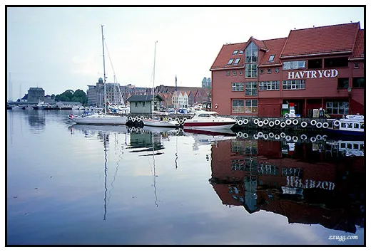 최악의 물가.. Bergen D+23