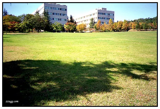 가을로 물든 학교..