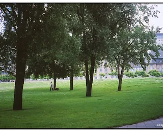 心身의 안정을 찾은 Dusseldorf  [D+1]