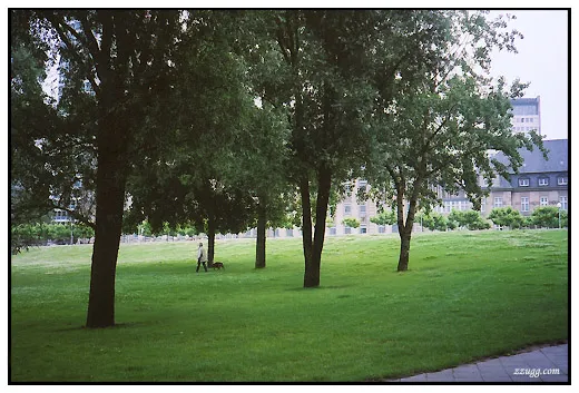 心身의 안정을 찾은 Dusseldorf D+1
